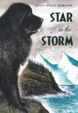 Star In The Storm by Joan Hiatt Harlow