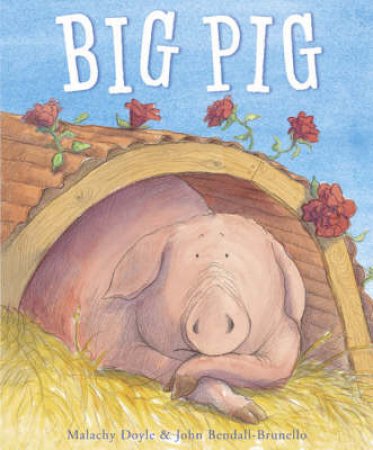 Big Pig by Malachy Doyle