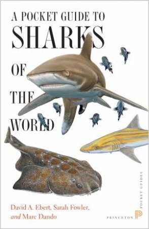 A Pocket Guide To Sharks Of The World by David A. Ebert & Sarah Fowler & Marc Dando