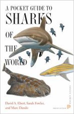 A Pocket Guide To Sharks Of The World