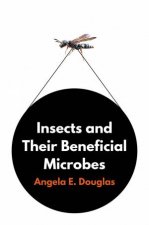 Insects And Their Beneficial Microbes