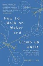 How To Walk On Water And Climb Up Walls