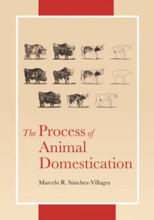 The Process Of Animal Domestication by Marcelo Snchez-Villagra