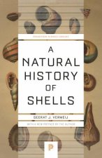 A Natural History Of Shells