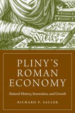 Plinys Roman Economy