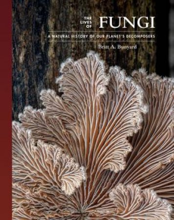 The Lives Of Fungi by Britt Bunyard