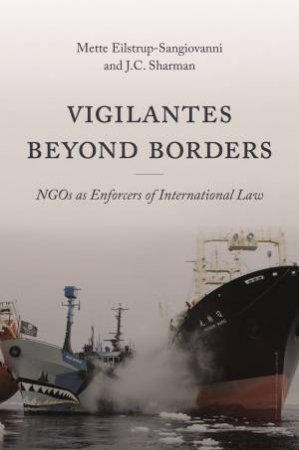 Vigilantes Beyond Borders by Mette Eilstrup-Sangiovanni & J C Sharman