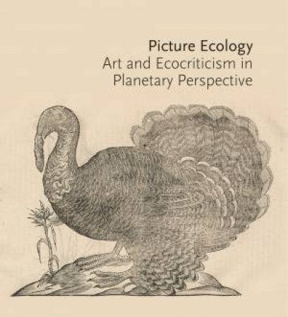 Picture Ecology by Karl Kusserow & Alan C. Braddock & Maura Coughlin & Rachael Z. DeLue & T. J. Demos & Monica Dominguez Torres & Finis Dunaway & Stephen F. Eisenman & Emily Gephart & Karl Kusserow & De-nin D. Lee & G