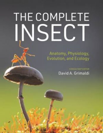 The Complete Insect by David A. Grimaldi