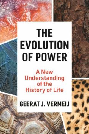 The Evolution of Power by Geerat Vermeij