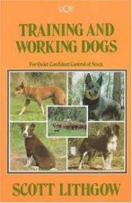 Training  Working Dogs For Quiet Confident Control of Stock