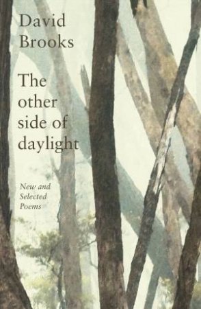 The Other Side of Daylight by David Brooks