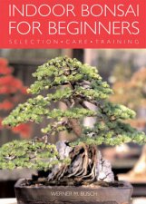 Indoor Bonsai For Beginners