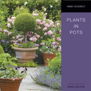 Plants in Pots by Various