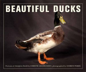 Beautiful Ducks by Various