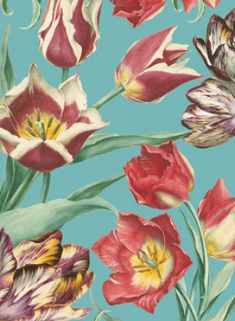 RHS Tulips Boxed Notecards by Royal Horticultural Society