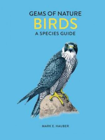 Gems Of Nature: Birds by Joanna Bentley & Mark E. Hauber