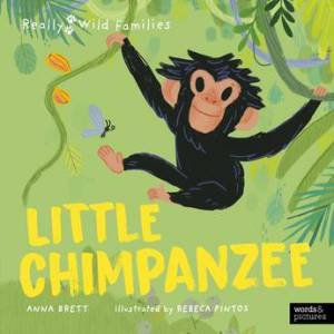 Little Chimpanzee by Anna Brett & Rebeca Pintos