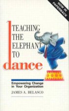 Teaching The Elephant To Dance