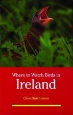 Where To Watch Birds In Irelnd