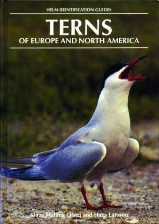 Terns Of Europe & North America by Olsen & Larsson