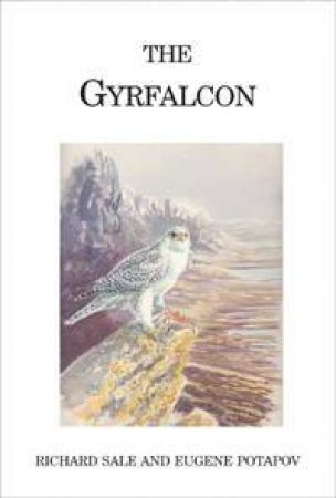 Gyrfalcon by Sale Potapov