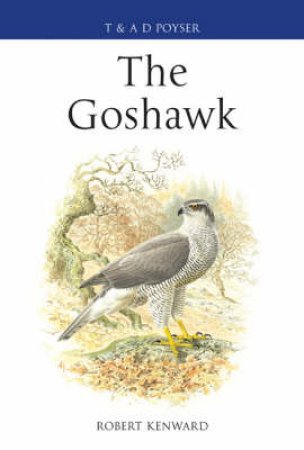 Goshawk by Keward Robert