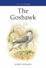 Goshawk