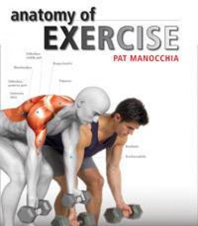 Anatomy Of Exercise by Pat Manocchia