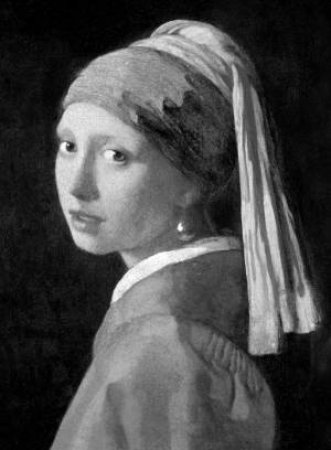 Vermeer by Various