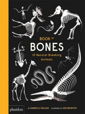 Book Of Bones by Phaidon