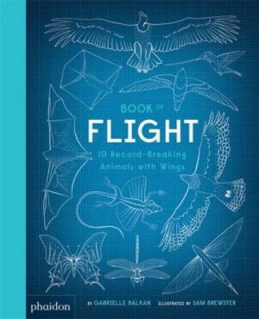 Book Of Flight by Gagrielle Balkan & Sa Brewster