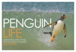 Penguin Life