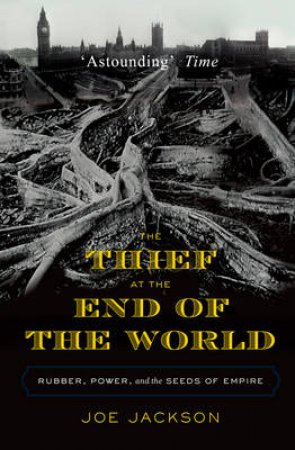 Thief At The End Of The World by Joe Jackson