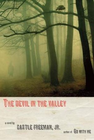 The Devil in the Valley by Castle Freeman