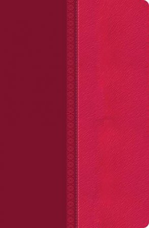 NKHV Giant Print Center-Column Reference Bible Raspberry by Various 