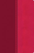 NKHV Giant Print CenterColumn Reference Bible Raspberry