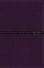 KJV Thinline Bible Standard Print Red Letter Edition Royal Purple