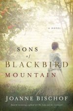 Sons Of Blackbird Mountain A Novel