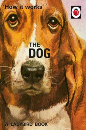 How It Works: The Dog by Jazon Hazeley