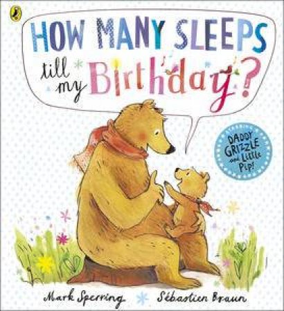 How Many Sleeps to my Birthday? by Mark Sperring