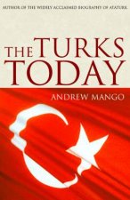 The Turks Today