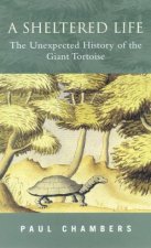 A Sheltered Life The Unexpected History Of The Giant Tortoise