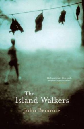 The Island Walkers by John Bemrose