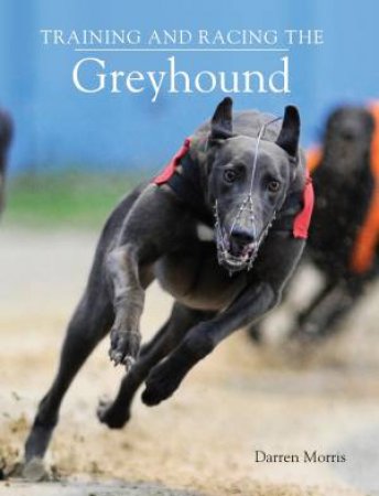 Training And Racing The Greyhound by Darren Morris