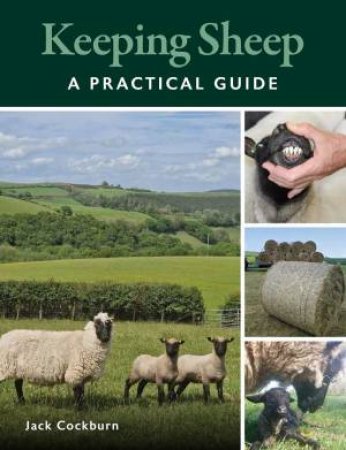 Keeping Sheep: A Practical Guide by JACK COCKBURN