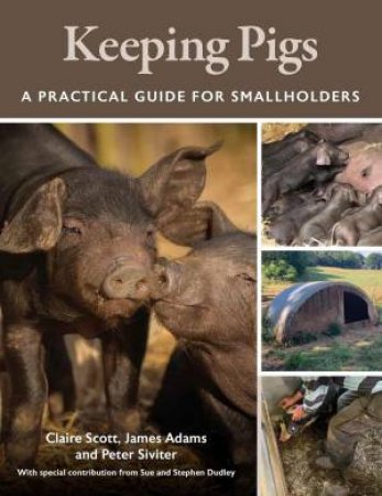 Keeping Pigs: A Practical Guide for Smallholders by CLAIRE SCOTT