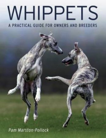 Whippets: A Practical Guide for Owners and Breeders by PAM MARSTON-POLLOCK