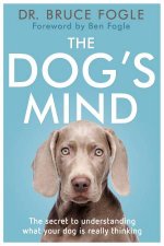 The Dogs Mind