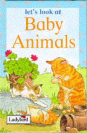 Let's Look At Baby Animals by Various